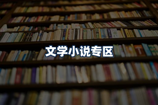 文学小说PDF展示
