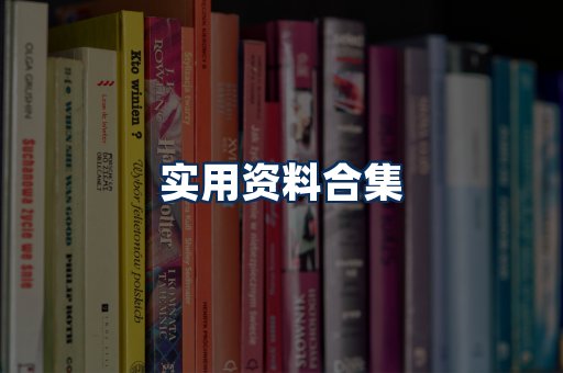 实用PDF资料展示